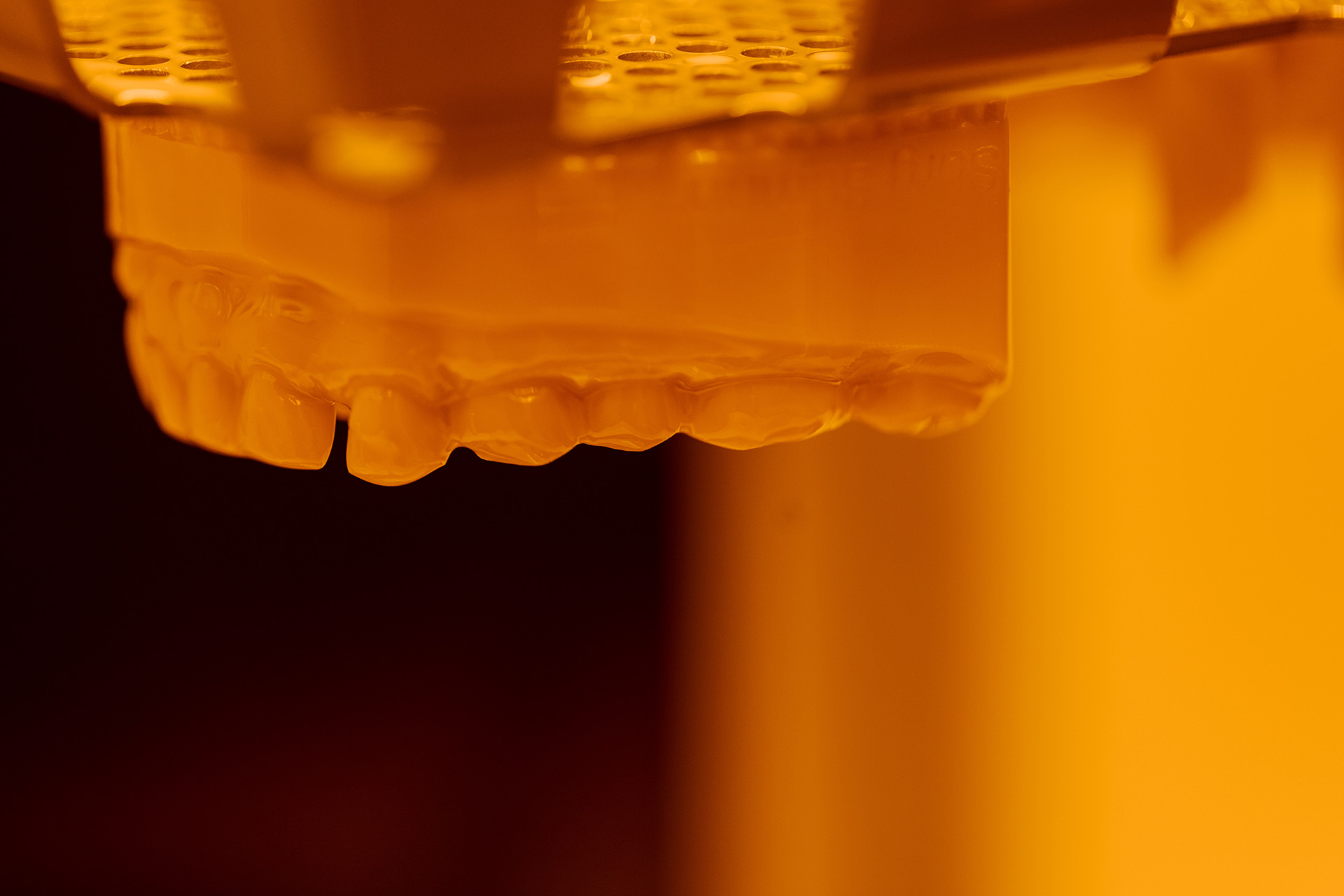 Starr-teeth-lab-3